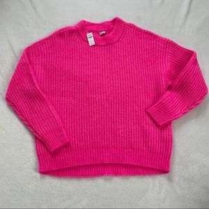 Pink Aerie Crew Pullover Sweater